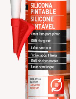 Silicone Pintavel